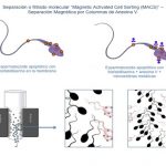 Selección de espermatozoides sanos mediante separación magnética: Una nueva revolución en los tratamientos de fertilidad.