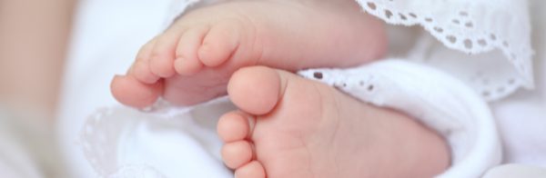 fertilab img banner web blastocystcriotransfer 1