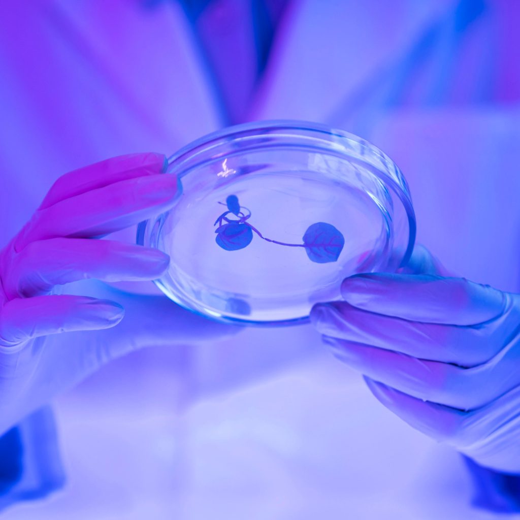 Ley de Fecundación in Vitro en España: lo que debes saber